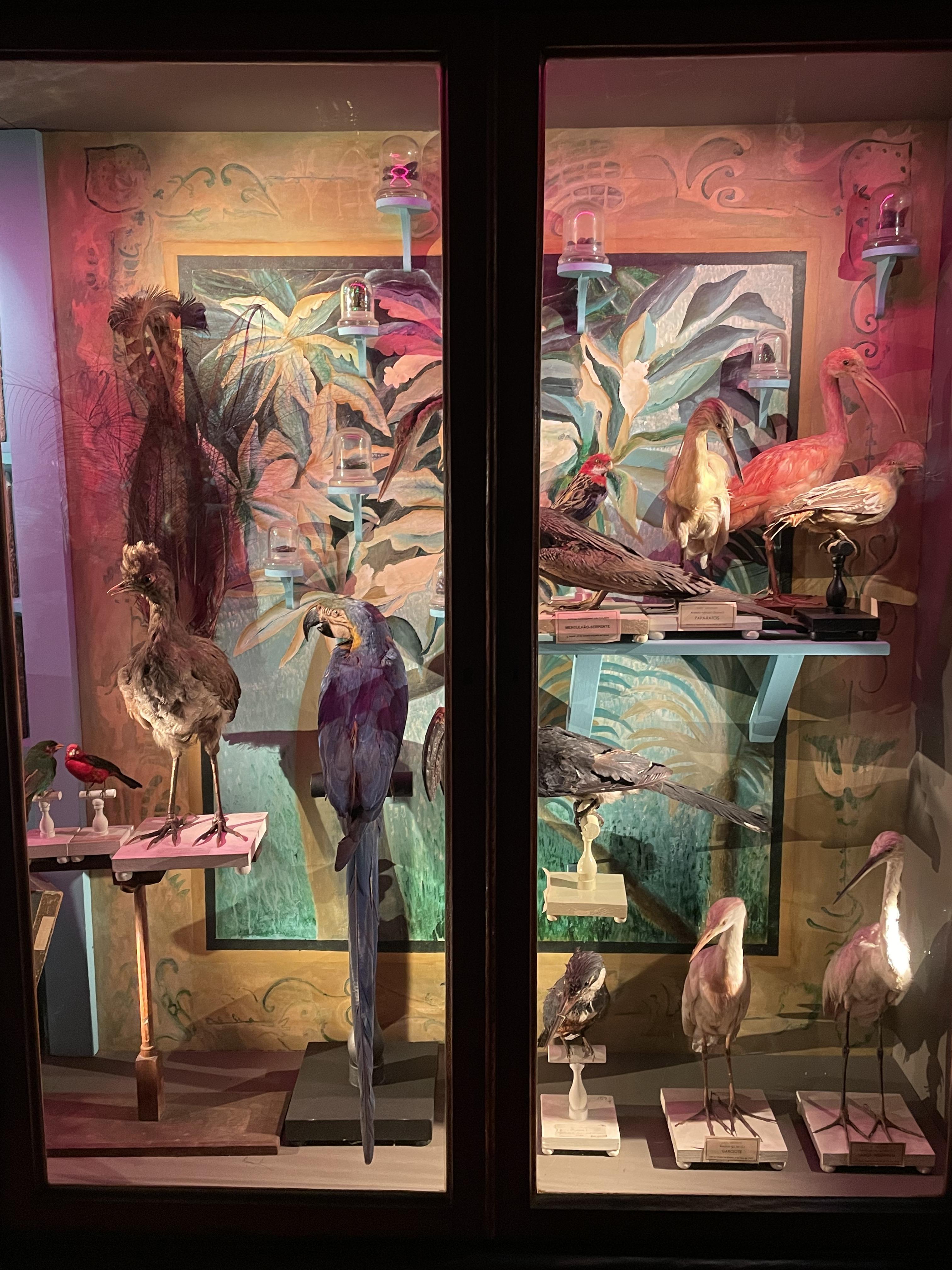 Gallery image 2