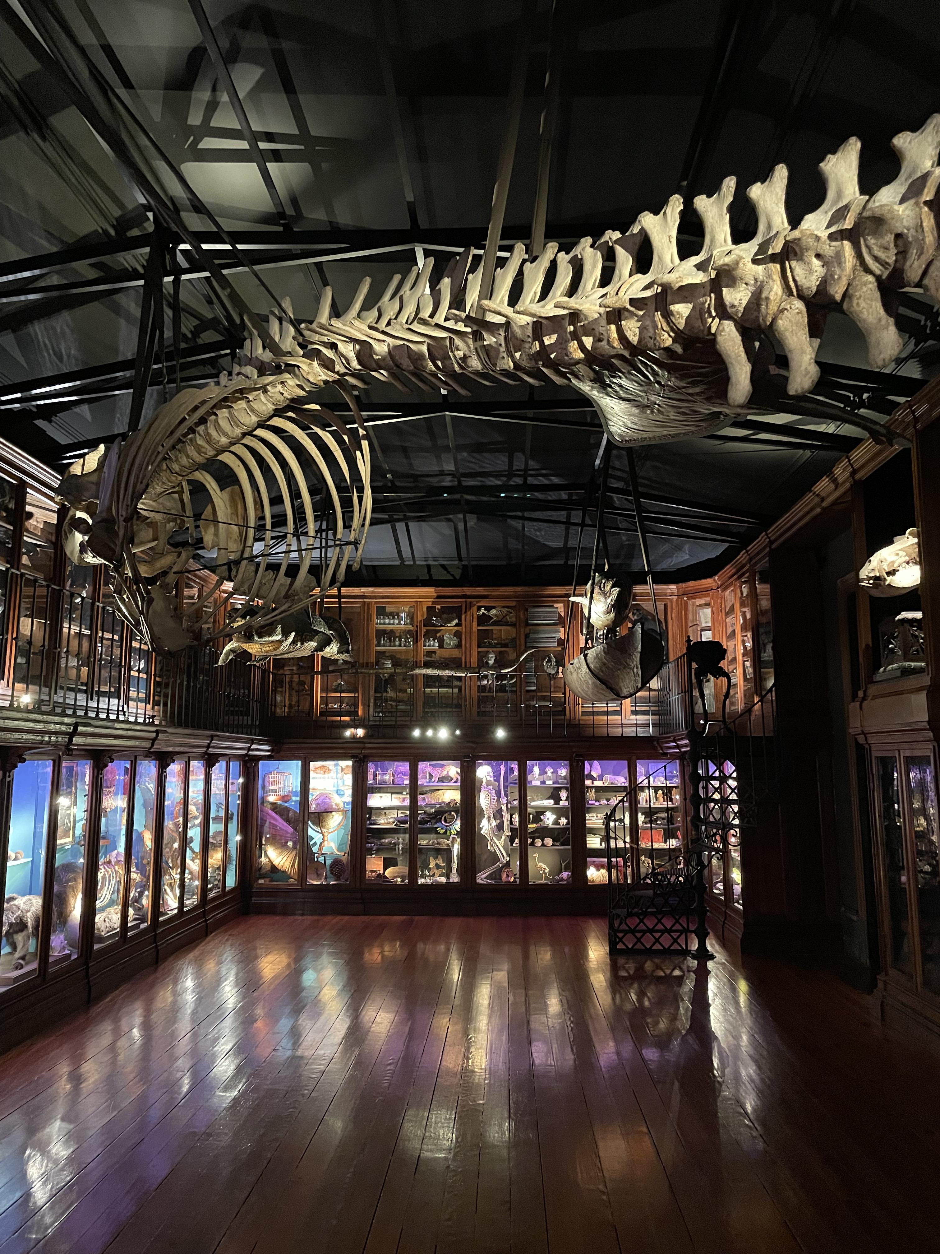 Gallery image 3