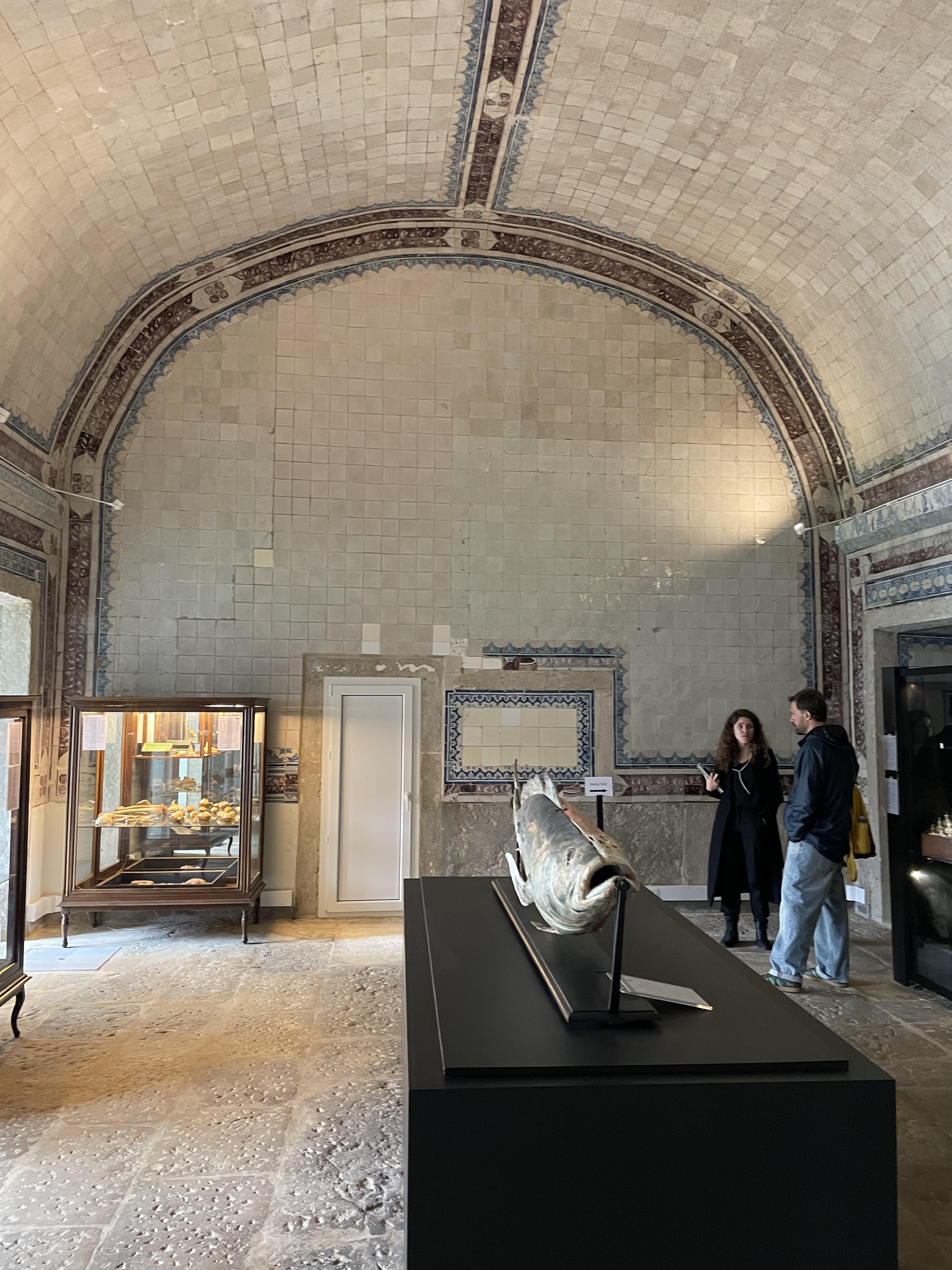 Gallery image 4