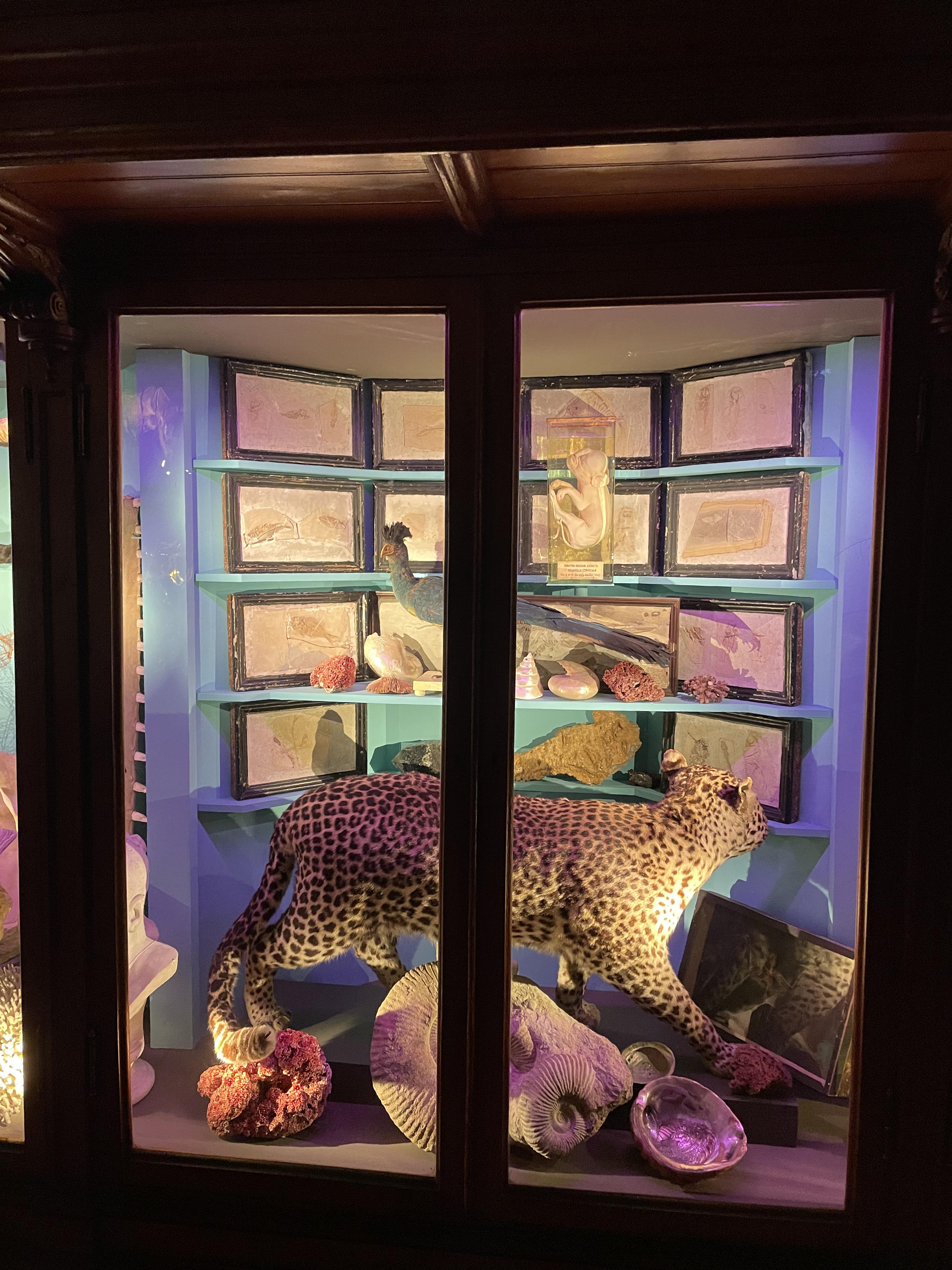 Gallery image 4