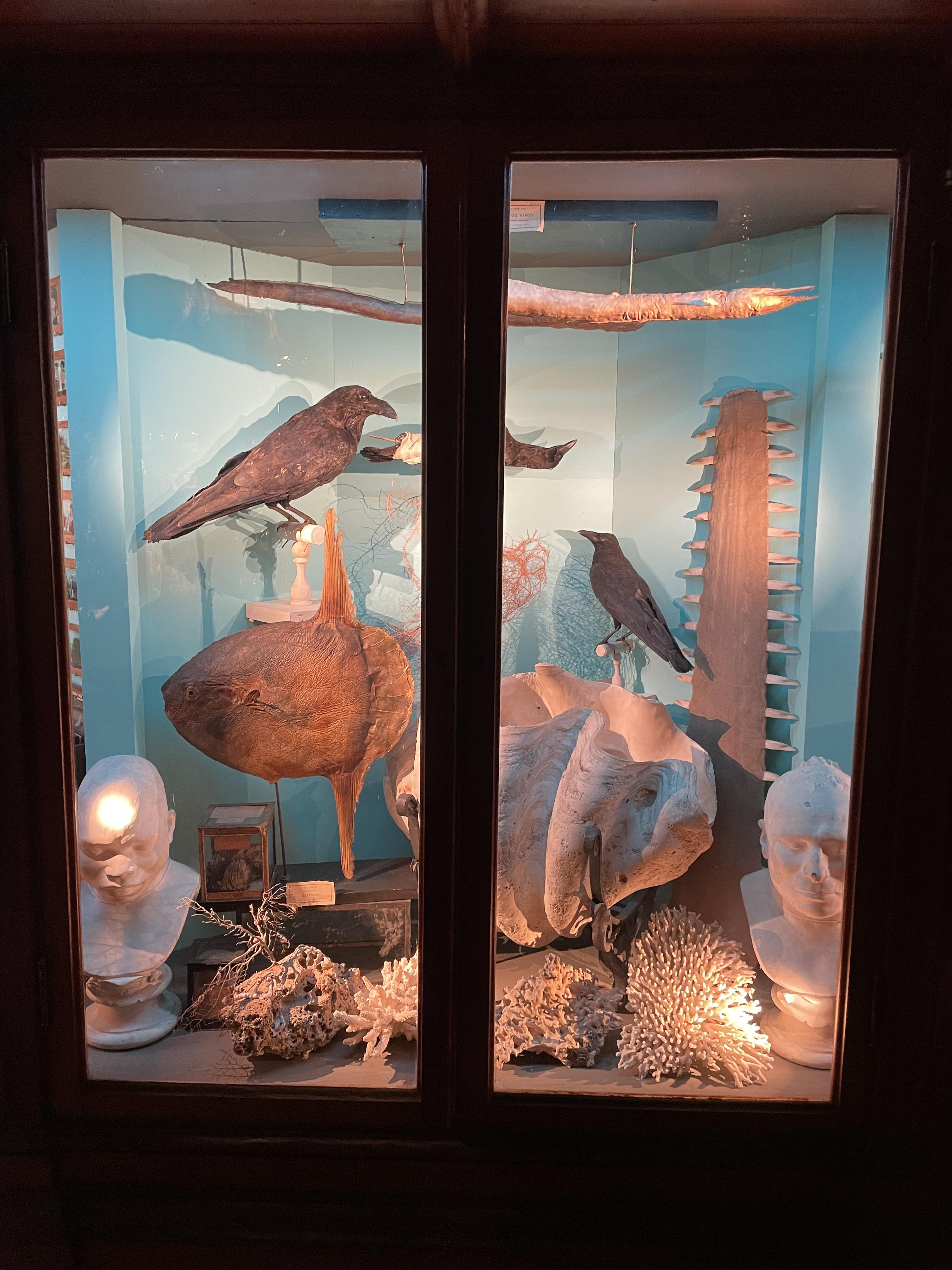 Gallery image 5