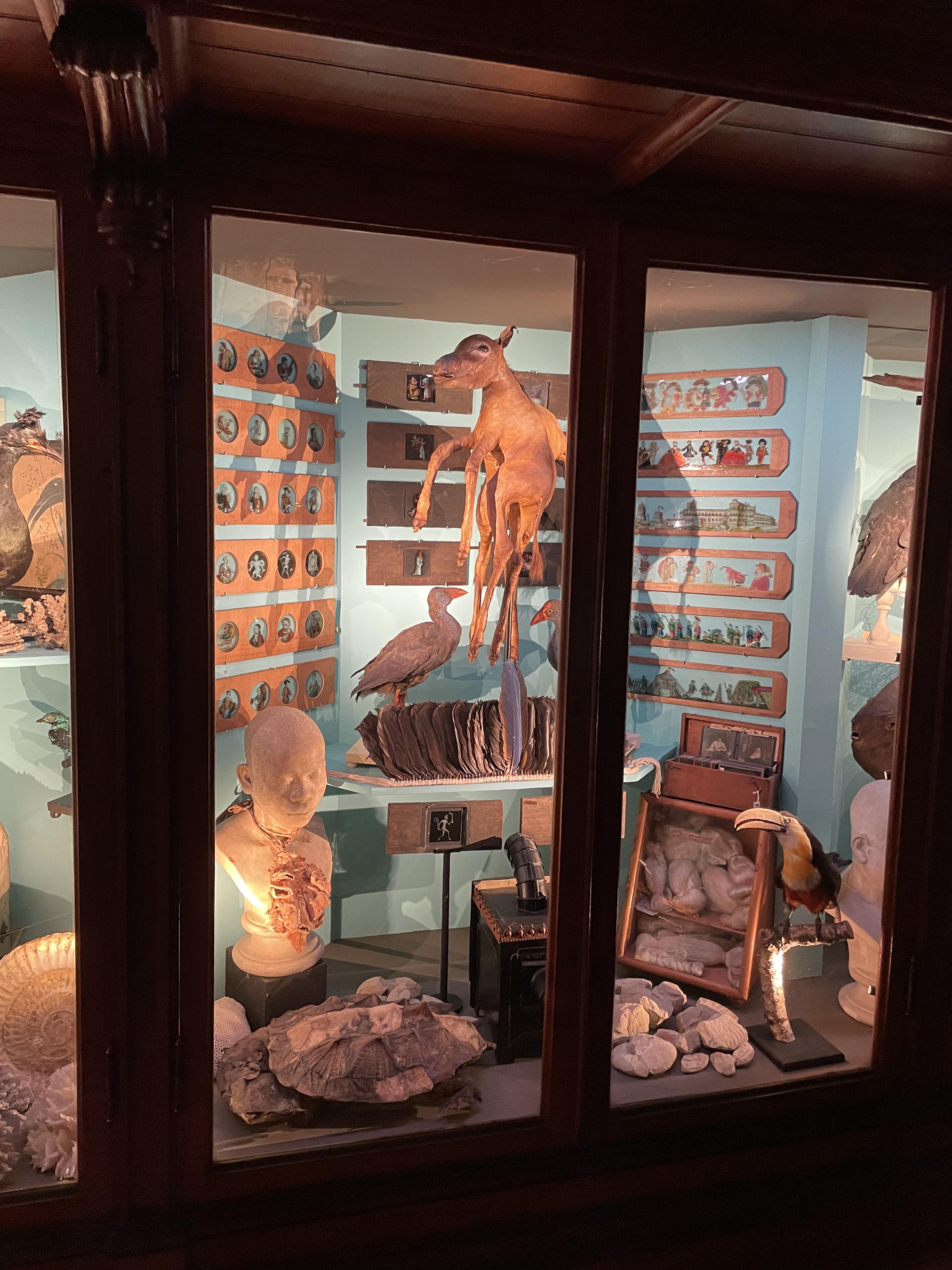 Gallery image 6