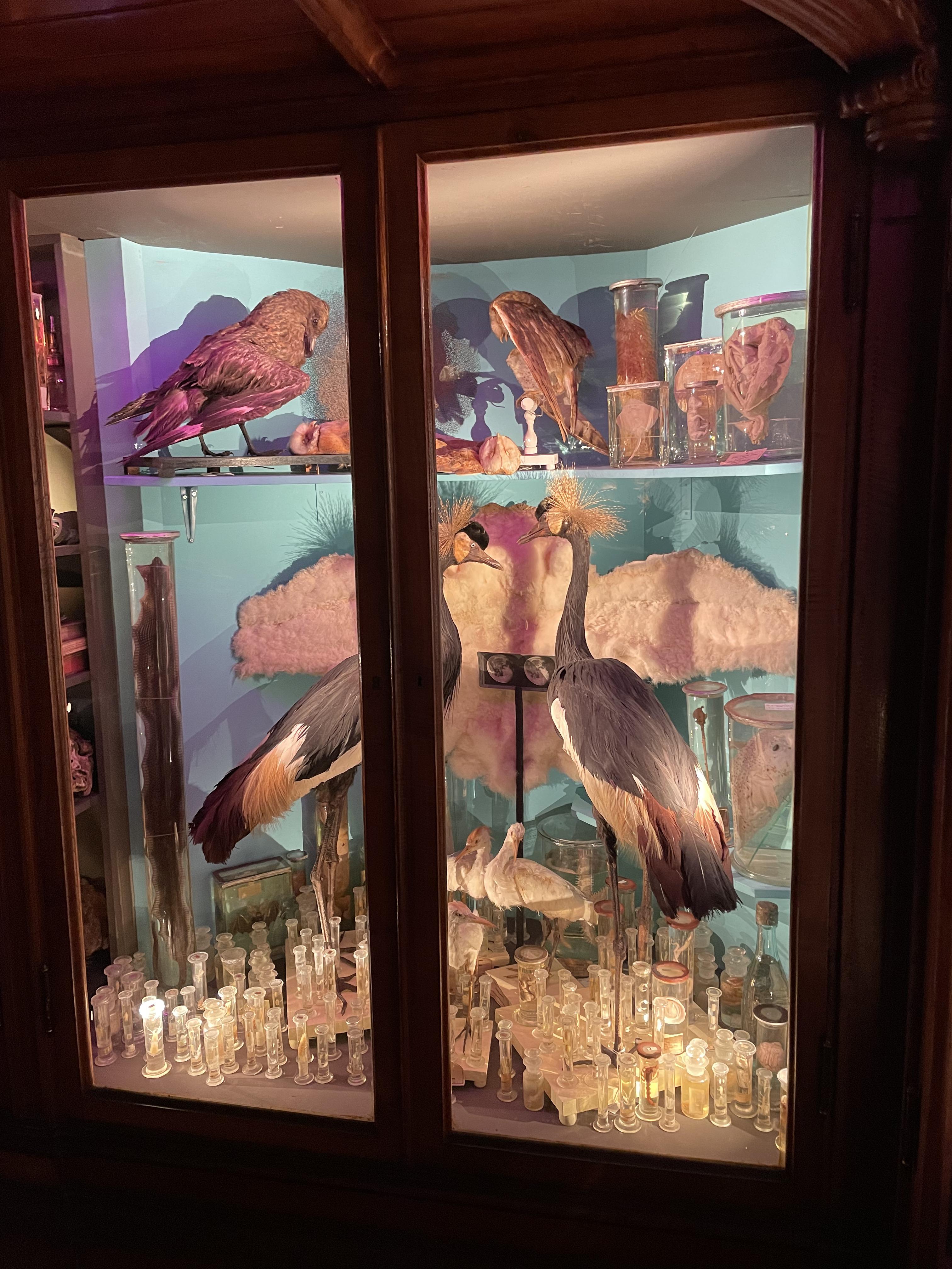 Gallery image 7